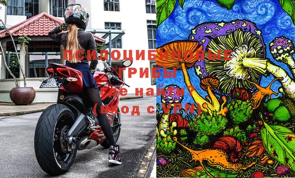 ПСИЛОЦИБИНОВЫЕ ГРИБЫ Магадан