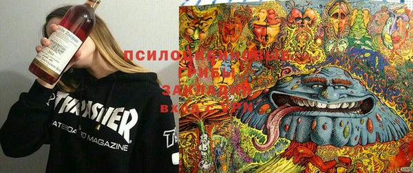 гидропоника Лихославль