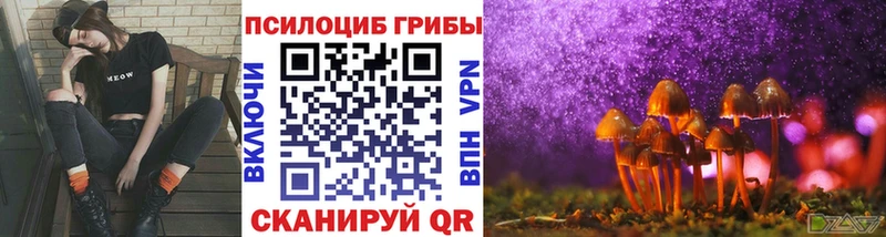 Купить закладки  Александровск  Псилоцибиновые грибы ЛСД 