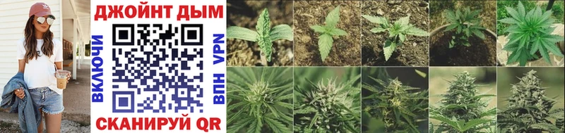Конопля AK-47  Купить где  Александровск 